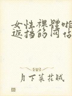 女性裸体啪啪无遮挡的网站