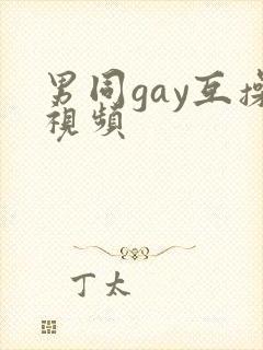 男同gay互操视频