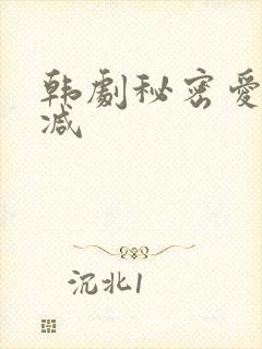 韩剧秘密爱无删减封面
