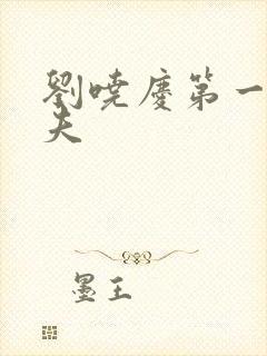刘哓庆第一任丈夫