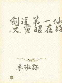 剑道第一仙苏奕,文灵昭在线免费阅读