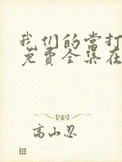 我们的当打之年免费全集在线观看封面