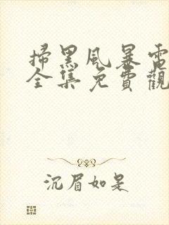 扫黑风暴电视剧全集免费观看完整版