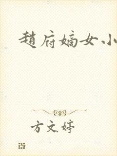 赵府嫡女小说