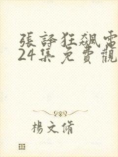 张译狂飙电视剧24集免费观看封面