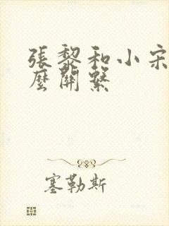 张黎和小宋佳什么关系