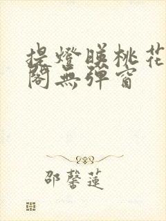 提灯映桃花笔趣阁无弹窗