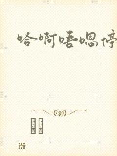 哈啊唔嗯停下