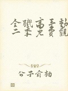 全职高手动漫第二季免费观看完整版