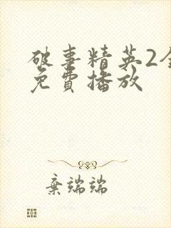 破事精英2全集免费播放封面