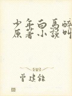 少年白马醉春风原著小说叫什么