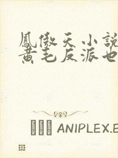 凤傲天小说里的黄毛反派也想幸福子与我非鱼