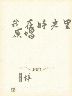 我在时光里等你原唱