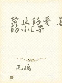 禁止的爱 善良的小[子封面