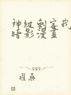 神级刺客我即是暗影漫画