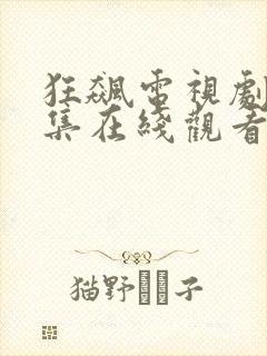 狂飙电视剧40集在线观看免费他是谁