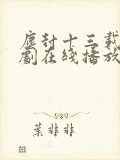 尘封十三载电视剧在线播放