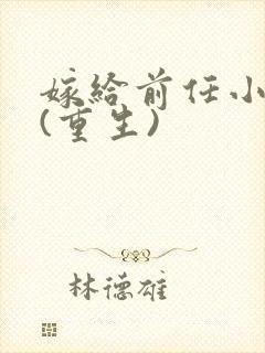 嫁给前任小叔子(重生)