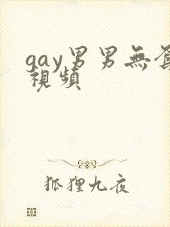 gay男男无套视频