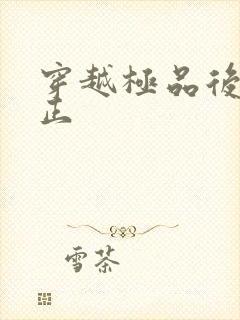 穿越极品后宫雍正