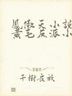 凤傲天小说里的黄毛反派小说