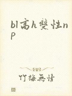 bl高h双性np