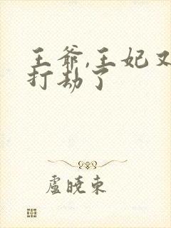 王爷,王妃又去打劫了封面