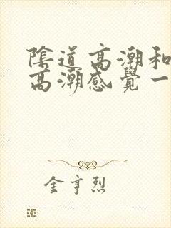 阴道高潮和阴蒂高潮感觉一样么