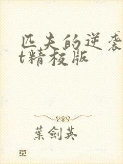 匹夫的逆袭txt精校版