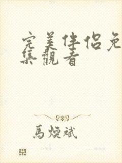 完美伴侣免费全集观看