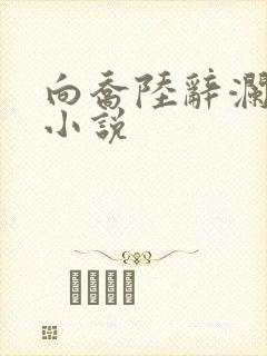 向乔陆辞澜秦窈小说