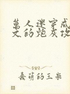 万人迷穿成总受文的炮灰攻四封面