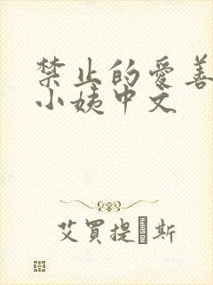 禁止的爱善良的小姨中文封面