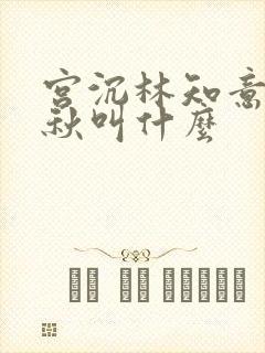 宫沉林知意宋宛秋叫什么