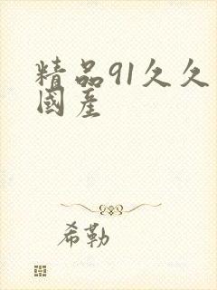 精品91久久久国产