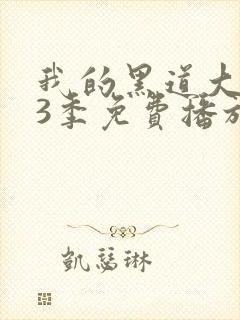 我的黑道大佬第3季免费播放在线观看