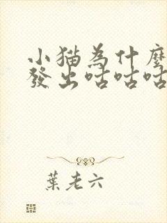 小猫为什么一直发出咕咕咕的声音封面