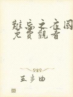 难忘之夜国语版免费观看