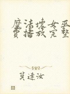 魔法坏女巫2免费播放完整版封面