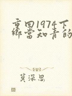 重回1974下乡当知青的小说