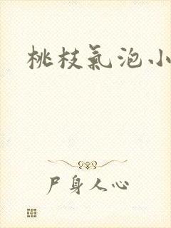 桃枝气泡小说封面