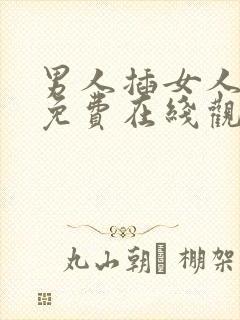 男人插女人视频免费在线观看
