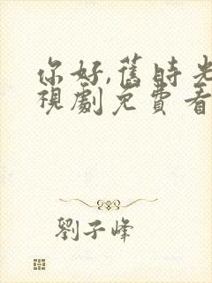 你好,旧时光电视剧免费看