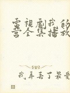 电视剧我的特一营全集播放