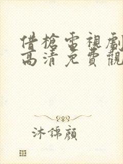 借枪电视剧全集高清免费观看封面