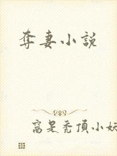 夺妻小说