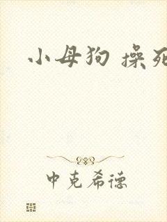 小母狗 操死你