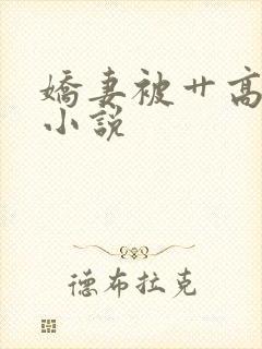 娇妻被艹高潮的小说