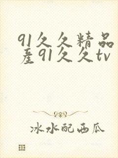 91久久精品国产91久久tv