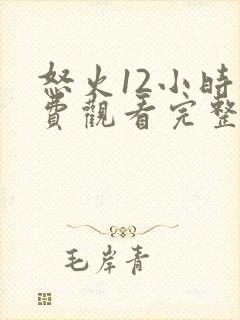 怒火12小时免费观看完整版高清